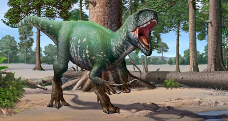 megaraptor