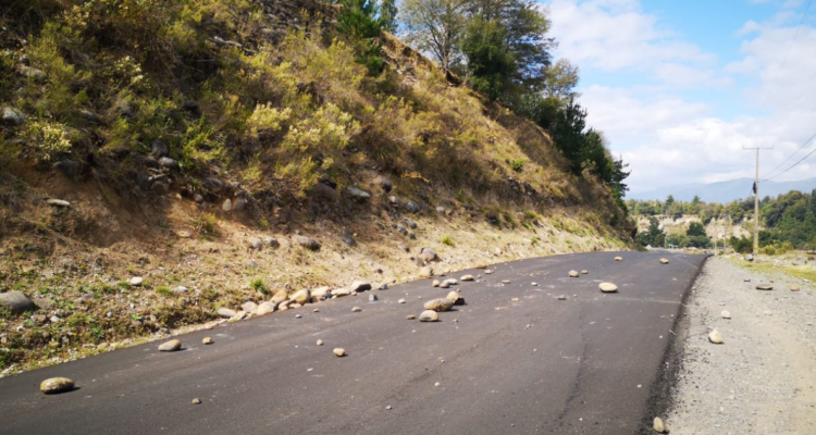 fundo San Miguel Alto Bío Bío