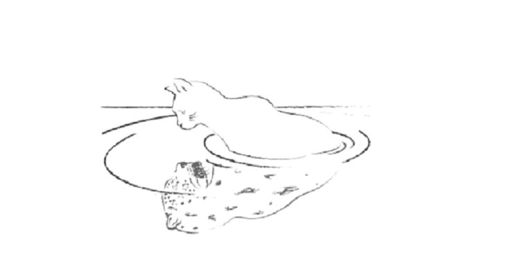 Detalle de la portada