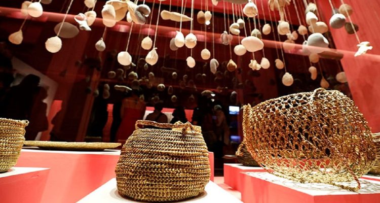 historia de semillas