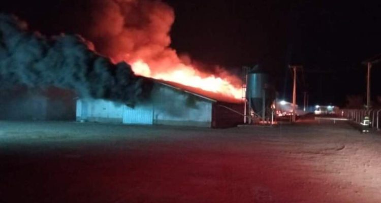 Incendio en pabellón de Agrosuper en San Francisco de Mostazal
