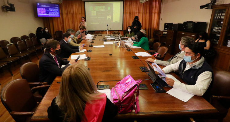 Jiles amenazó con moción de censura a Cariola durante álgida sesión por quinto retiro