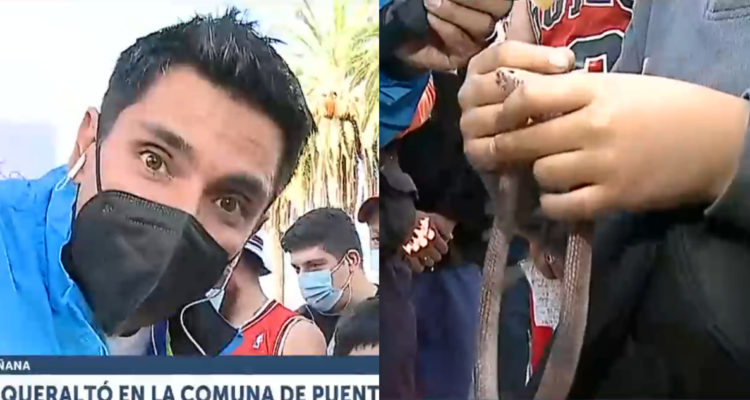 El periodista Juan Pablo Queraltó hablando a la cámara. A su lado, el niño manipulando a la serpiente falsa.