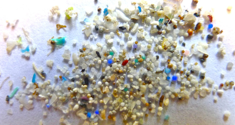 microplasticos