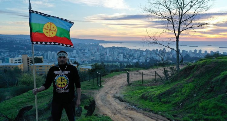 neculman en cerro de viña del mar