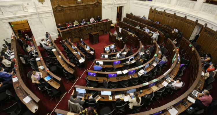 nueva constitución y paridad de género