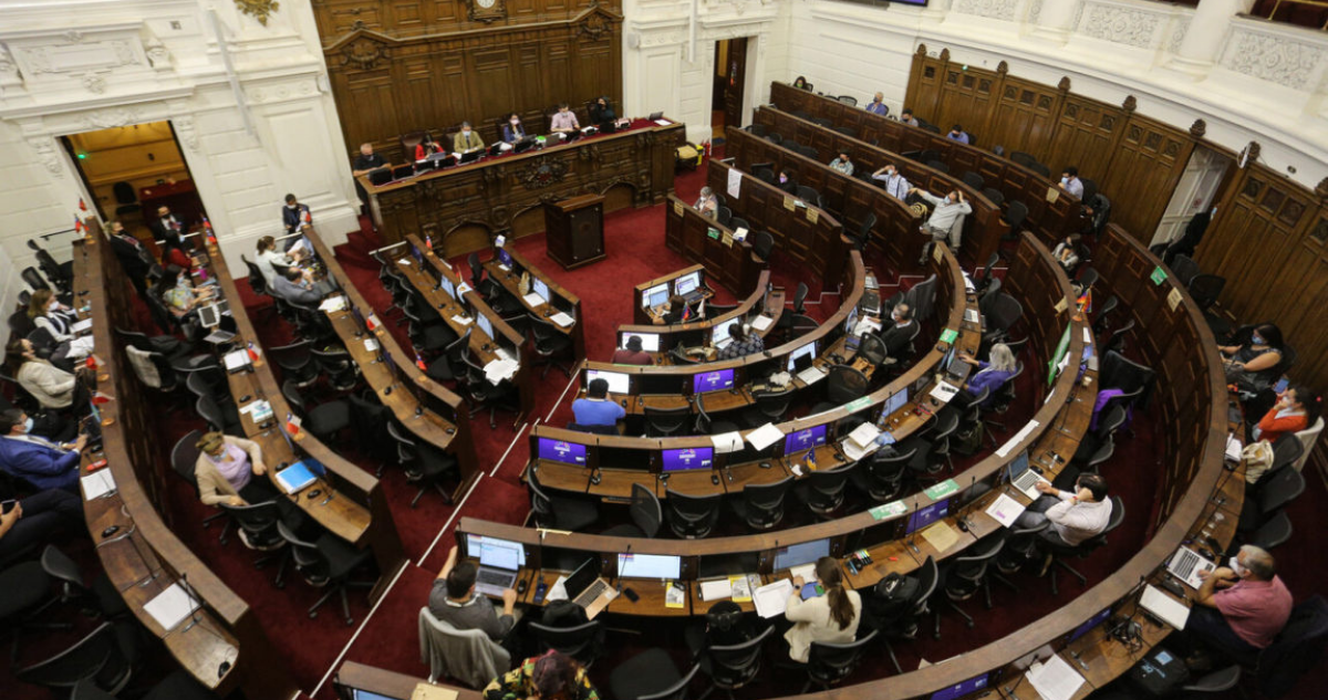 nueva constitución y paridad de género
