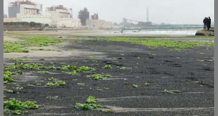Varamiento de carbón en playa ventanas