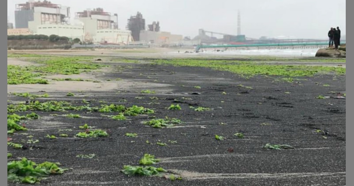 Varamiento de carbón en playa ventanas