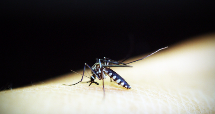 hipertiroidismo-malaria-cerebral