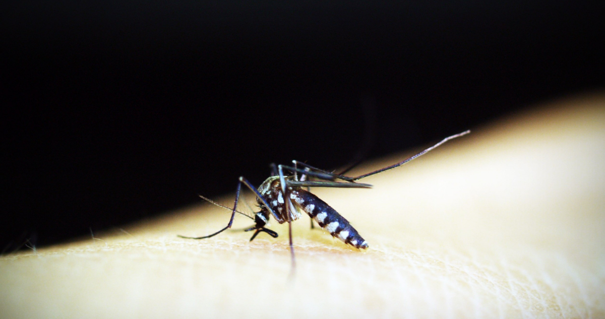 hipertiroidismo-malaria-cerebral