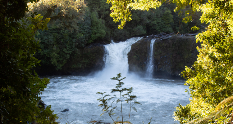 Proyecto inmobiliario en Parque Puyehue tiene solo abril para responder observaciones ambientales