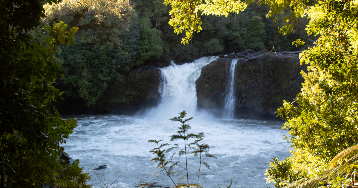 Proyecto inmobiliario en Parque Puyehue tiene solo abril para responder observaciones ambientales