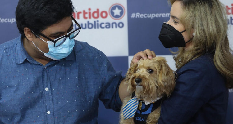 Presentan proyecto que sanciona faenamiento de mascotas ante denuncias de venta de carne de perro