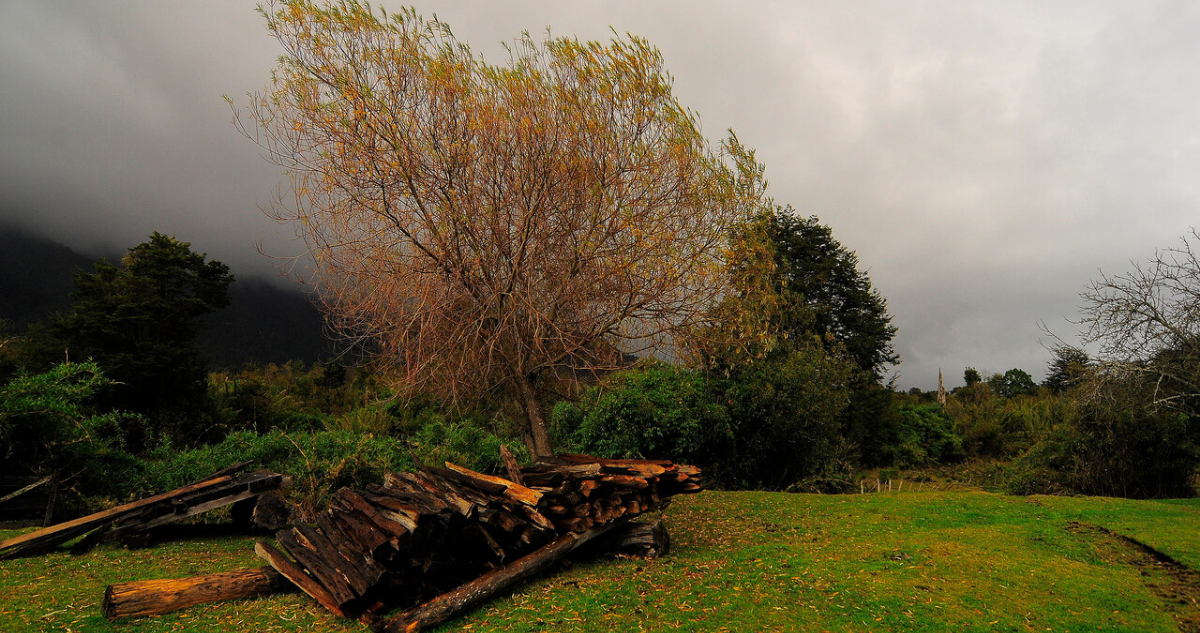 Comunidad indígena espera que SEA rechace proyecto inmobiliario en el Parque Nacional Puyehue.