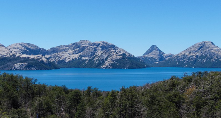 Posible proyecto inmobiliario en parque nacional Puyehue: especialistas señalan que es cuestionable