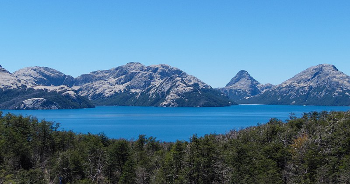 Posible proyecto inmobiliario en parque nacional Puyehue: especialistas señalan que es cuestionable