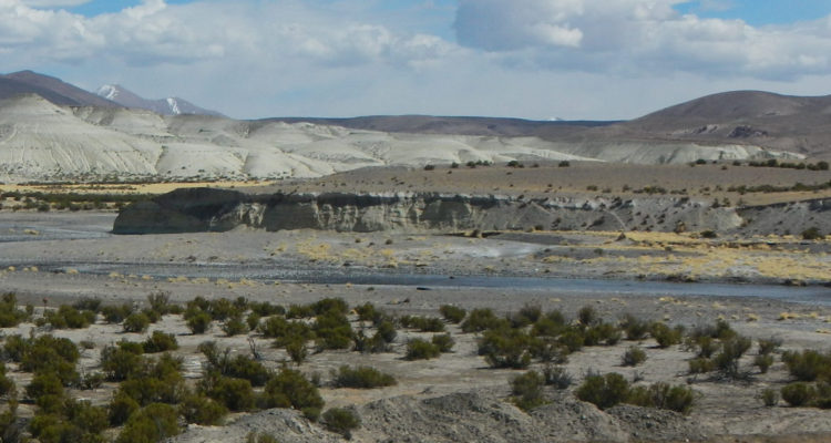 Gobierno baja el perfil y dice que no es posible un nuevo litigio para determinar uso del río Lauca