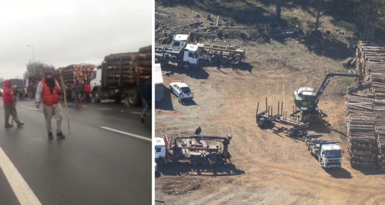 Traficantes de madera se toman ruta 160 en Arauco en protesta porque no los dejan robar
