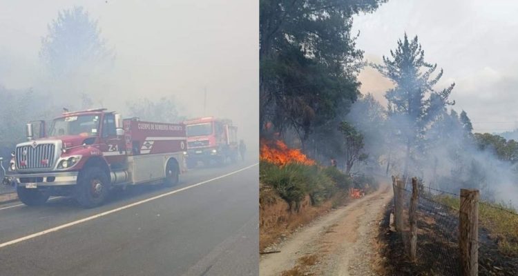 Cierran Ruta de la Madera por Incendio Forestal