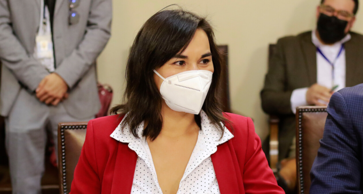 siches-avion-expulsados