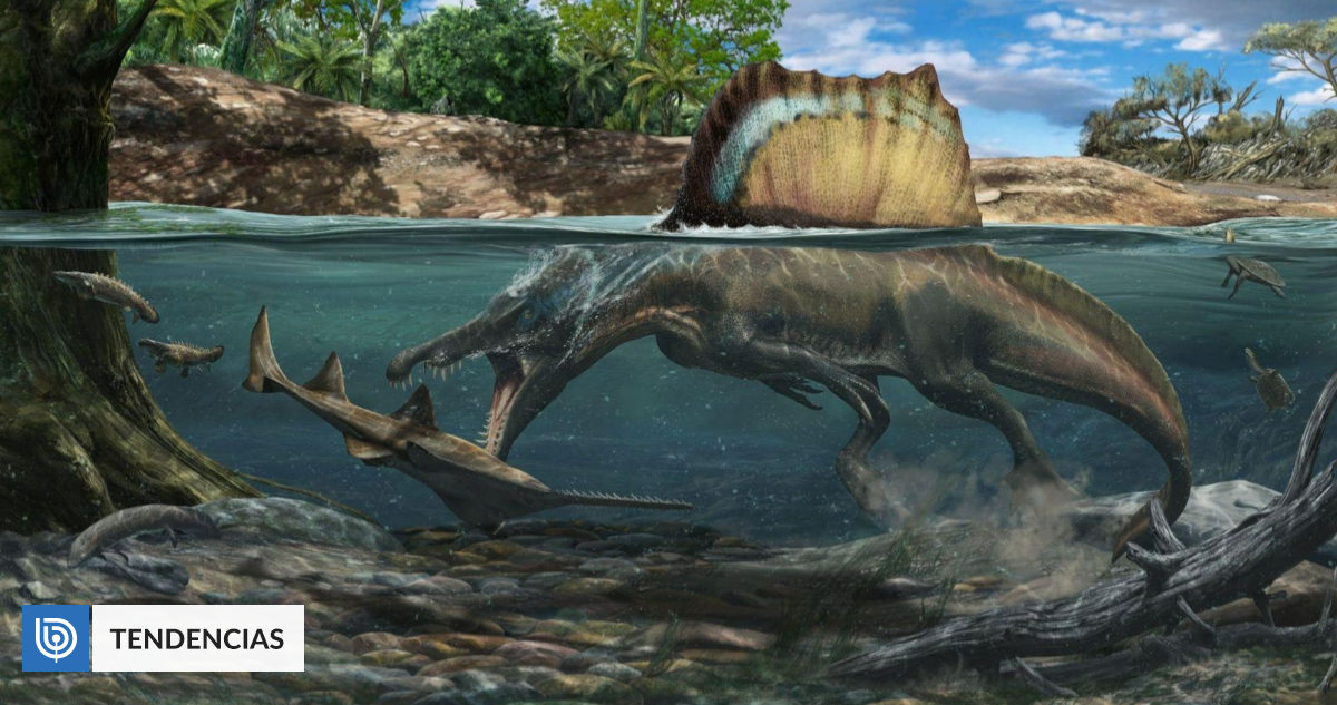 Spinosaurus, the longest carnivorous dinosaur had bony features similar to penguins |  Technology