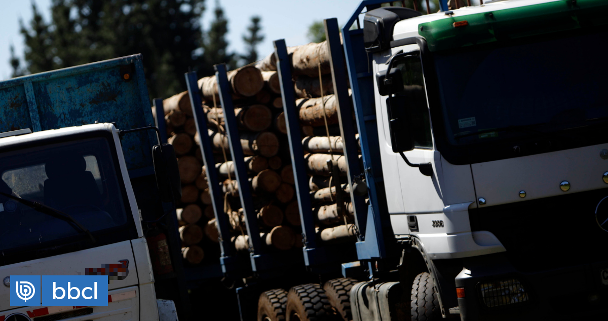 Detienen A Hombre Por Robo De Madera Desde Predio De Forestal Arauco En