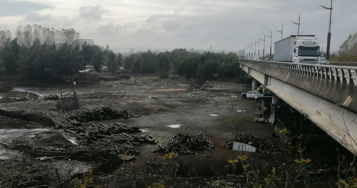 Familia se tomó lecho del Bio Bio en Puente Llacolén: hay cerco, vehículos y hasta crían animales