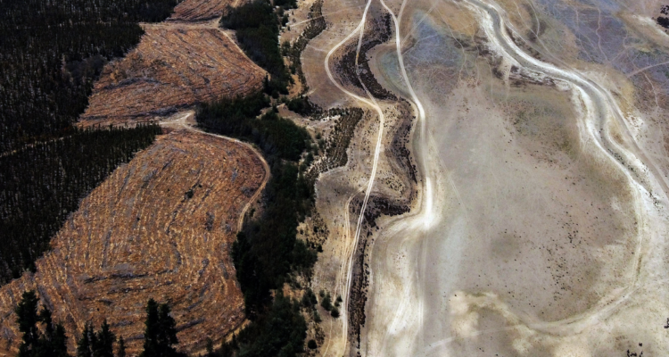 urgencias medioambientales