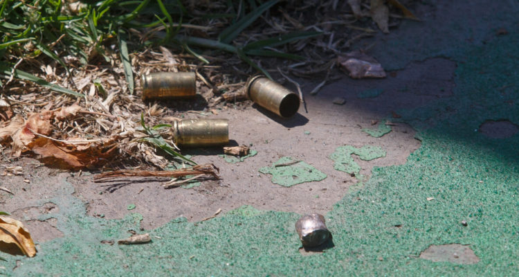 Alcaldes piden prohibir armas para civiles: Armerías apuntan a fiscalización en las calles