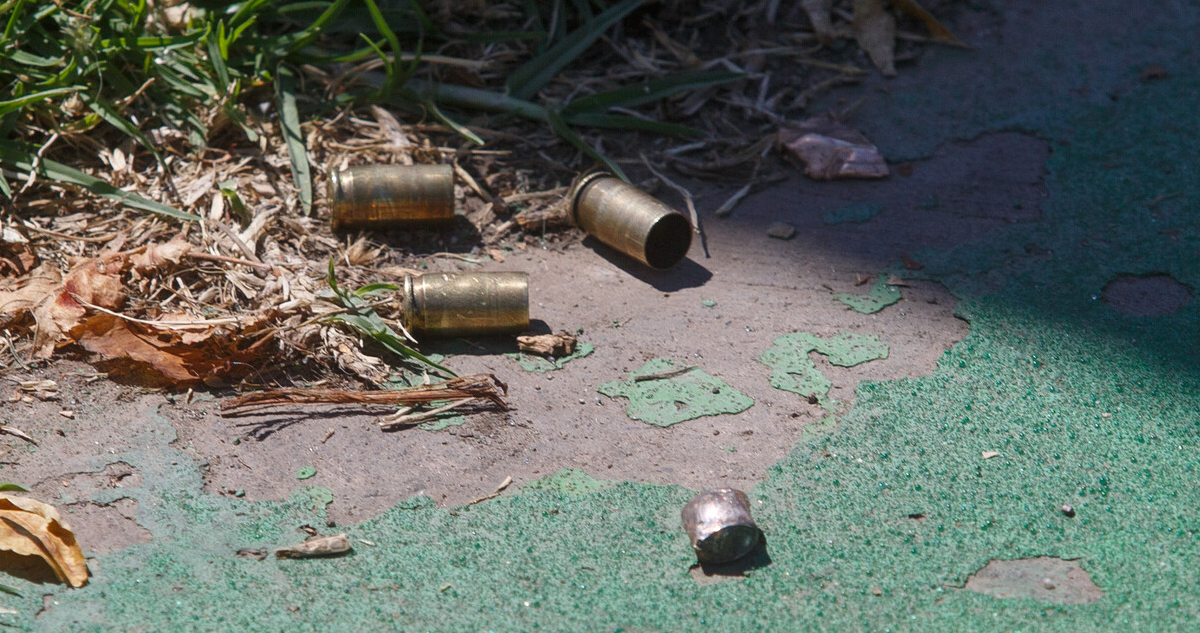 Alcaldes piden prohibir armas para civiles: Armerías apuntan a fiscalización en las calles