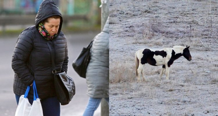 Decretan alerta por heladas y bajas temperaturas