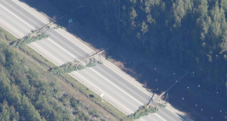 Cortan árboles y bloquean ruta que une Arauco con Lebu.