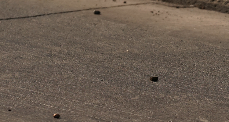 Atacan a disparos dos camiones y una camioneta en la Ruta 5 Sur en cercanías de Ercilla