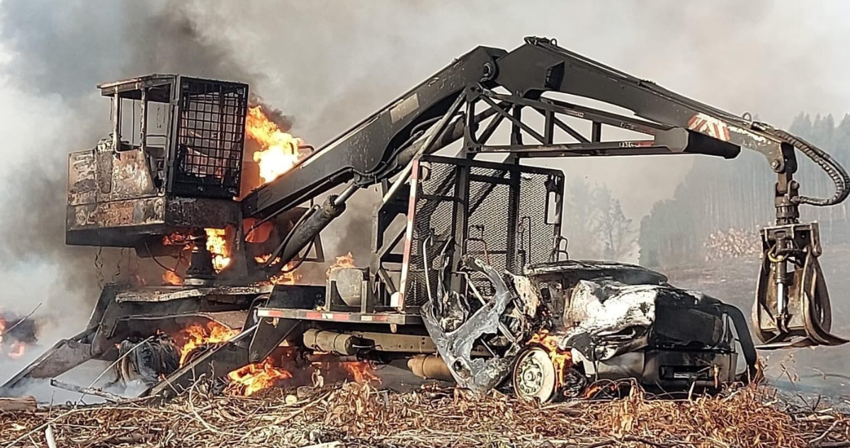Ataque incendiario en predio entre Quilaco y Mulchén