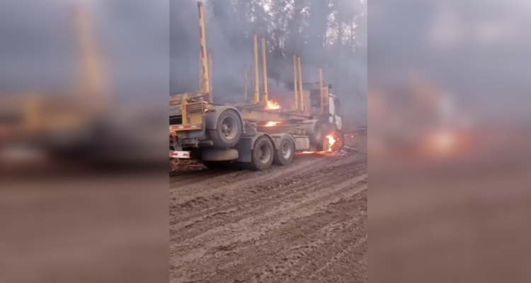 ataque faena Teodoro Schmidt