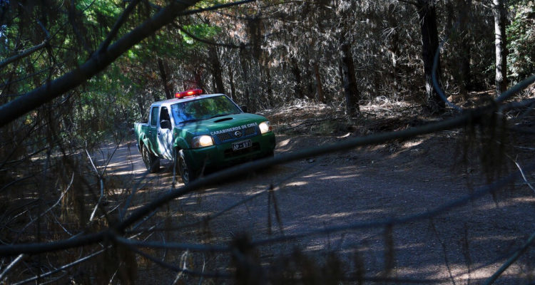 Sin éxito continúa búsqueda de joven extraviado hace 11 días en Curacautín