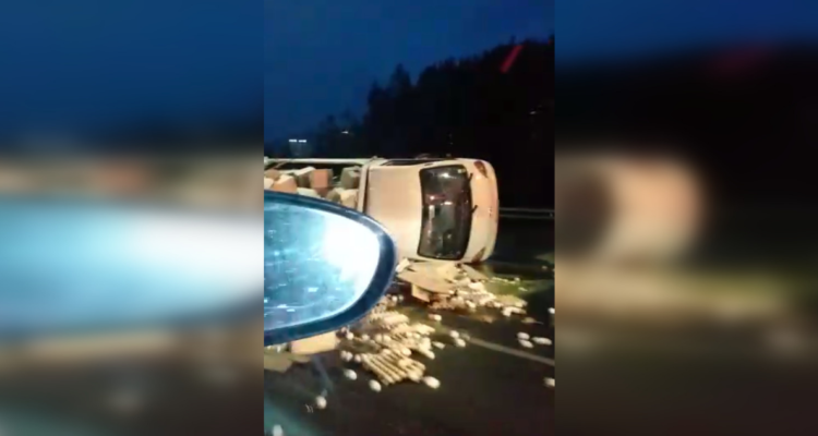 Camión con huevos termina volcado en la costanera de Chiguayante.