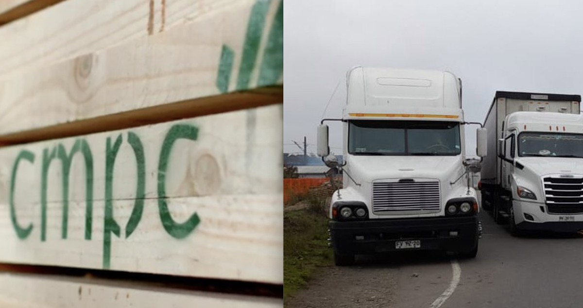 CMPC anuncia recorte de producción y detendría plantas ante bloqueo en rutas de la Macrozona Sur