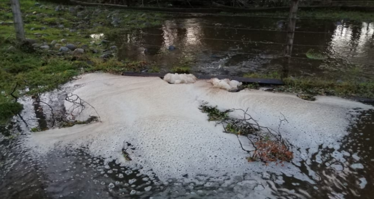 Denuncian contaminación en Estero Los Avellanos en Osorno