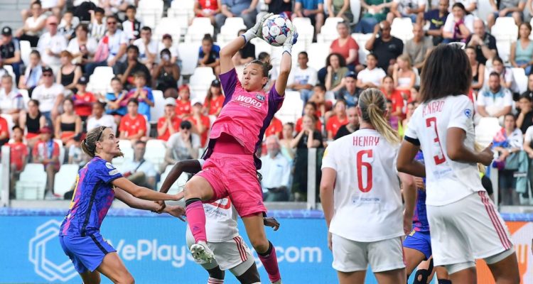 Endler descubierta por Cornez