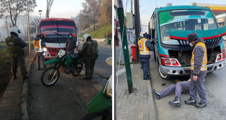 conductores línea Coronel-Lota licencia
