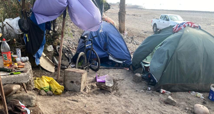 Detienen por asado de lobo marino