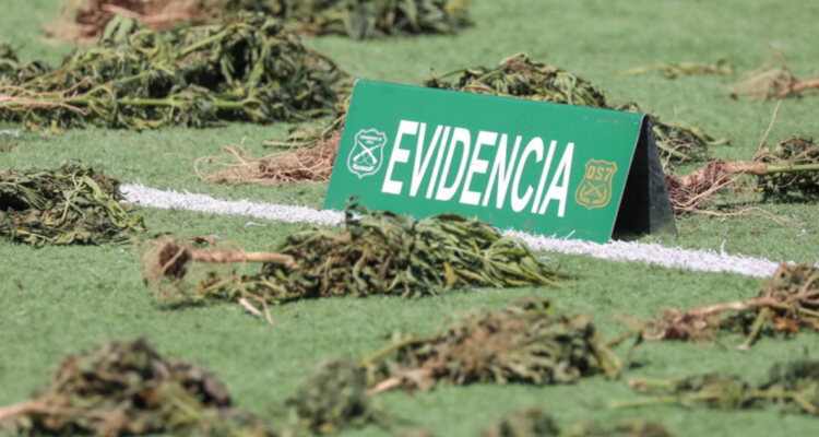 Detienen a hombre portando marihuana en bus de Los Ríos