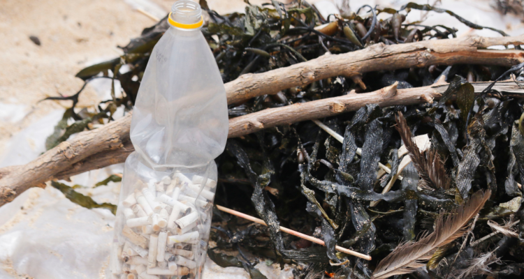 Día mundial del reciclaje