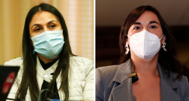 diputada rn y ministra siches