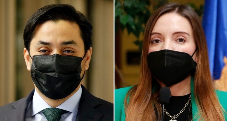 Diputados nombramientos Anepe