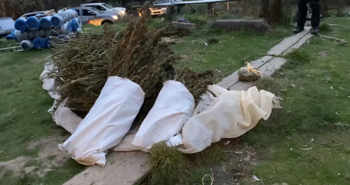 Droga incautada en San Juan de la Costa