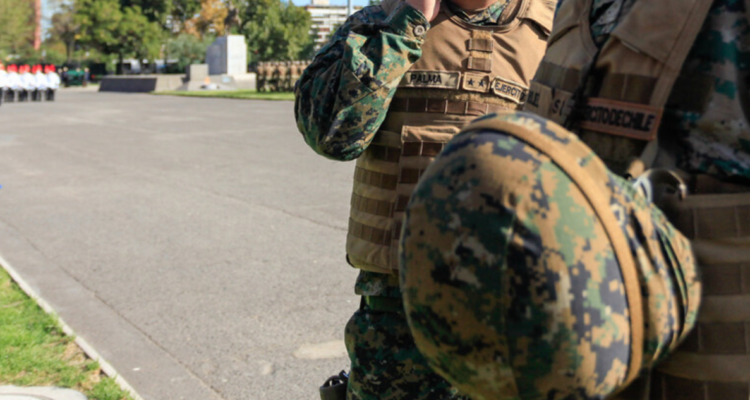 Ejército confirma que no pagó por plantación de eucaliptus en Corral