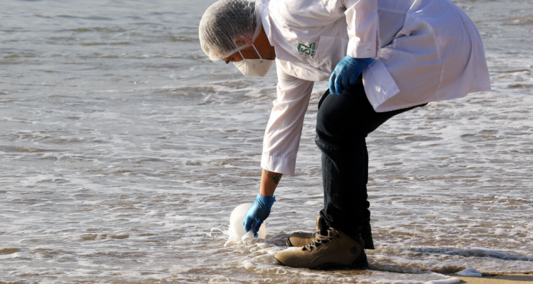 Contaminación fecal Playa Ancha de Valparaíso
